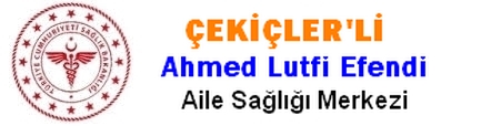 https://www.cekiclerliahmedlutfiefendiasm.com
